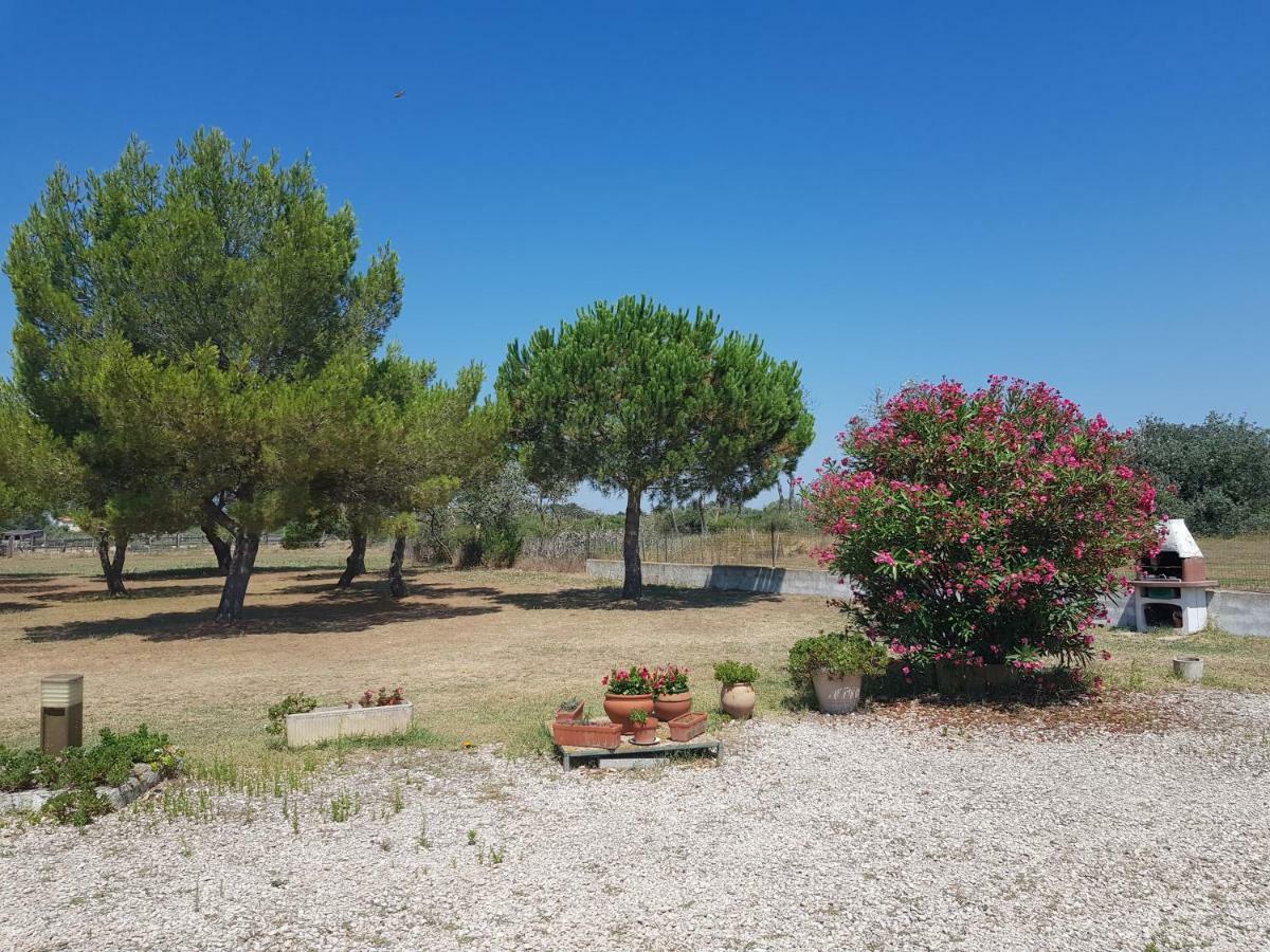 Apartamento Mas Du Clos De La Barque